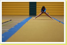 Klicken Sie auf das Bild, um es zu vergrößern