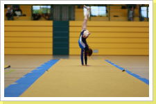 Klicken Sie auf das Bild, um es zu vergrößern