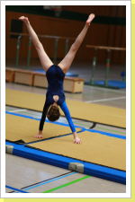 Klicken Sie auf das Bild, um es zu vergrößern