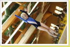 Klicken Sie auf das Bild, um es zu vergrößern