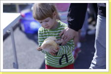 Klicken Sie auf das Bild, um es zu vergrößern