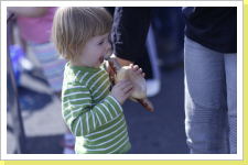 Klicken Sie auf das Bild, um es zu vergrößern