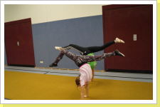 Klicken Sie auf das Bild, um es zu vergrößern