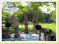 Klicken Sie auf das Bild, um es zu vergrößern