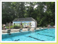 Klicken Sie auf das Bild, um es zu vergrößern