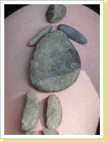 Klicken Sie auf das Bild, um es zu vergrößern